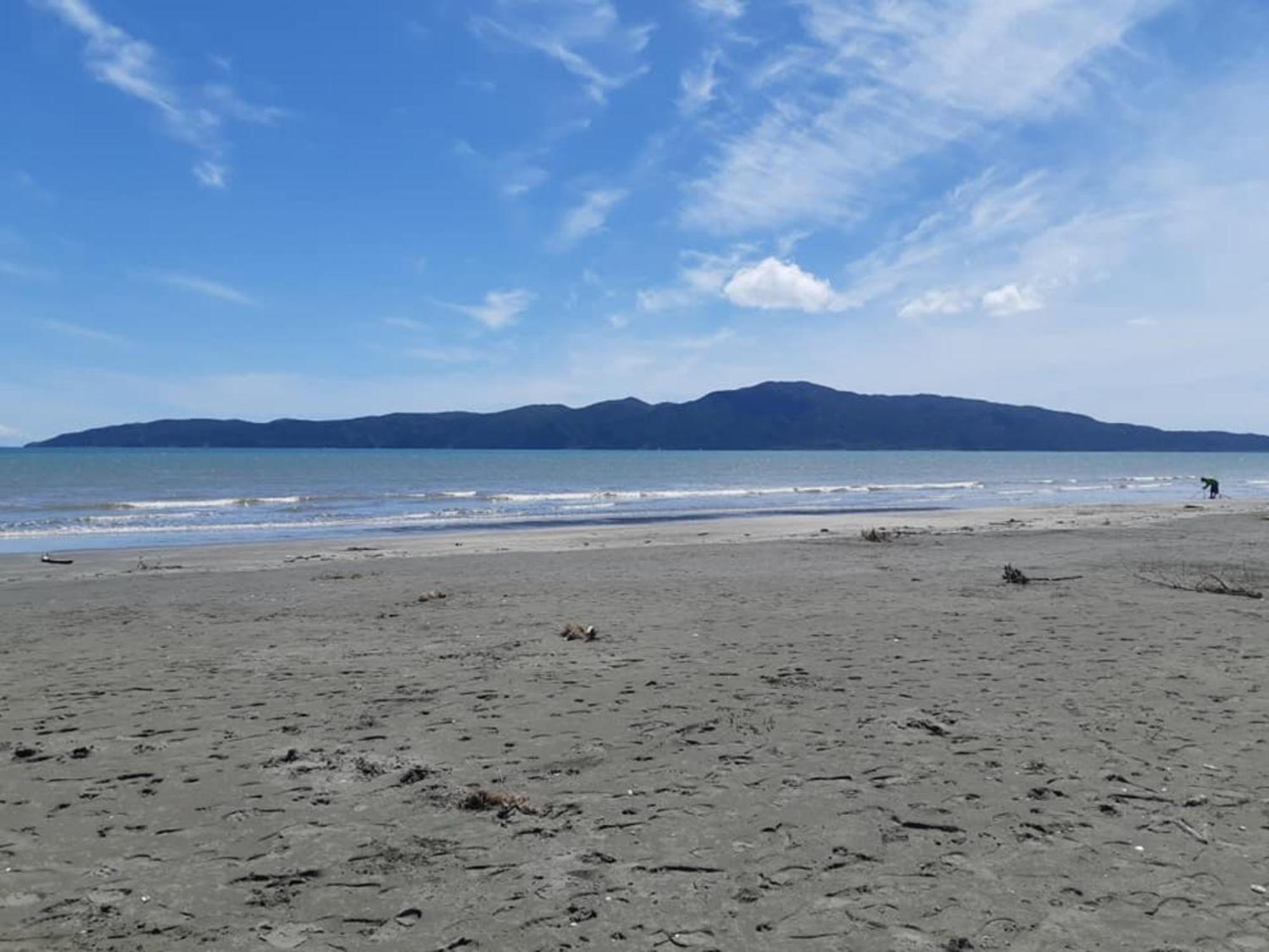 Raumati Guest House Paraparaumu Exterior photo